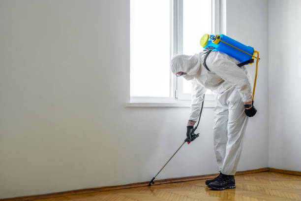 Best Residential Pest Control  in Hollis, OK